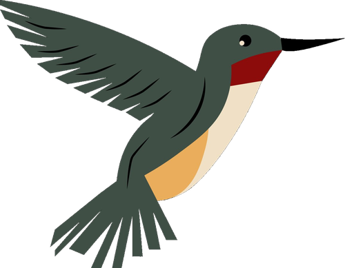 Colibrí El Ware Chihuahua